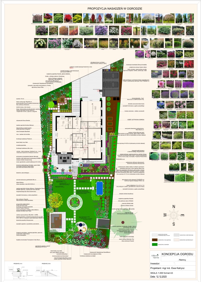 Plan ogrodu z propozycją nasadzeń, widok z góry. Projekt zawiera szczegółowy układ roślin, basen, ścieżki i budynek. Dodatkowo, spis roślin z nazwami i zdjęciami.