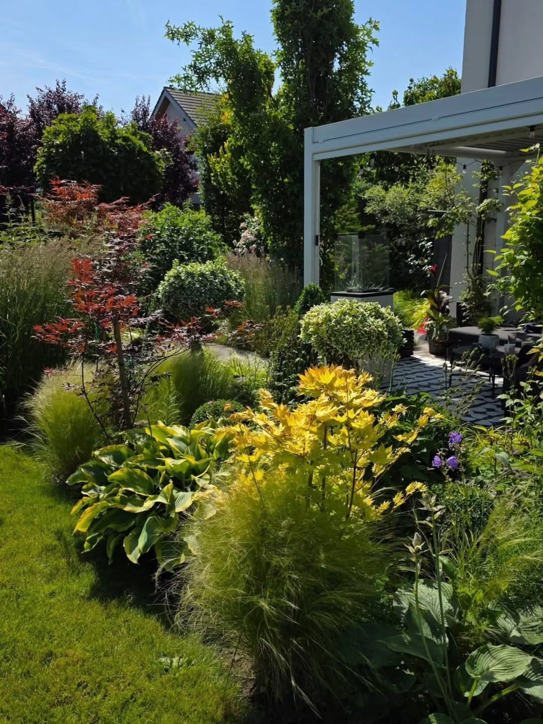 Ogród z pergolą w tle, zróżnicowana roślinność: trawy ozdobne, hosty, klon palmowy. Kompozycja barw i faktur, zadbany trawnik, kostka brukowa.