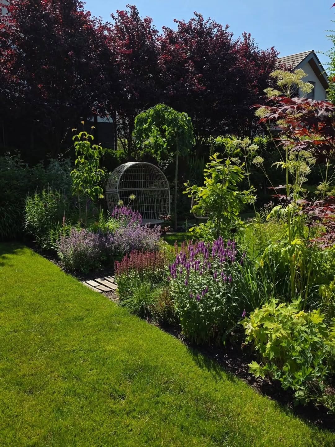 Bujny ogród z równo przystrzyżonym trawnikiem, rabatami kwiatowymi w odcieniach fioletu i zieleni oraz metalową konstrukcją przypominającą klatkę w tle.