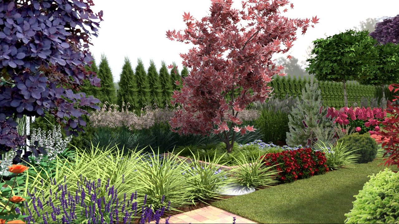 Wizualizacja ogrodu z różnorodną roślinnością: drzewa o purpurowych i czerwonych liściach, trawy ozdobne, kwitnące krzewy i ścieżka z kostki brukowej.