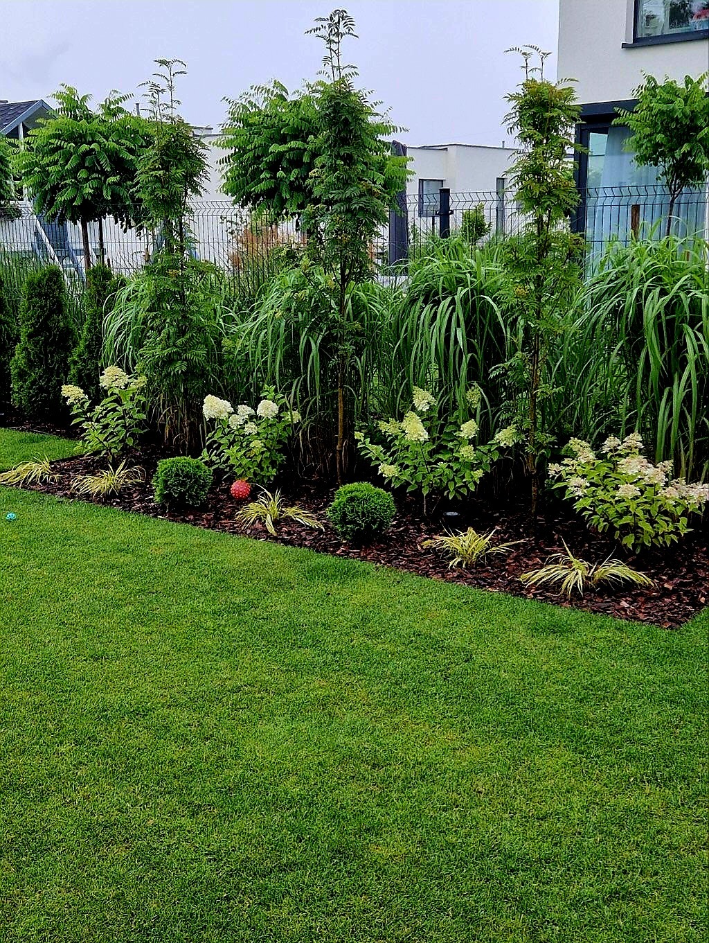 Zadbany ogród przydomowy z równo przystrzyżonym trawnikiem, ozdobnymi krzewami i drzewami, oddzielony od sąsiedniej posesji metalowym ogrodzeniem.