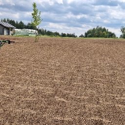 FHU Mateusz Adamiec - Przygotowany teren pod trawnik z widoczną siewką trawy i maszyną do siewu. W tle dom i drzewa. Słoneczny dzień.