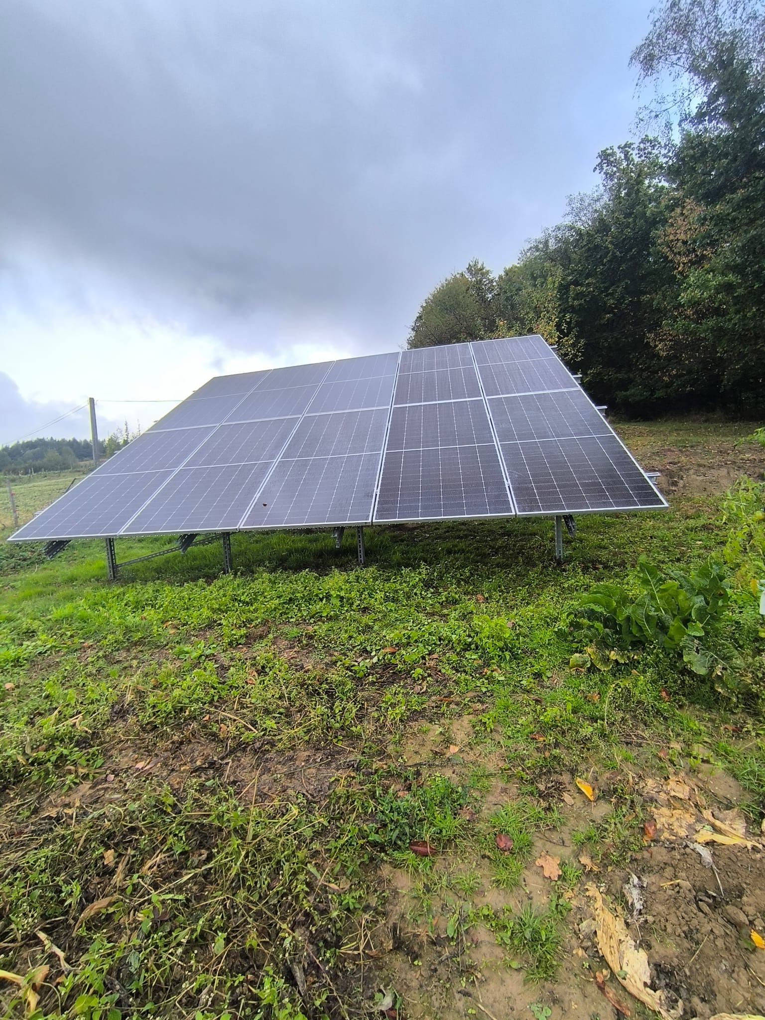Panel fotowoltaiczny na metalowej konstrukcji, zainstalowany na zewnątrz na trawiastym terenie, pochmurne niebo w tle. Widoczne drzewa i fragment ogrodzenia.