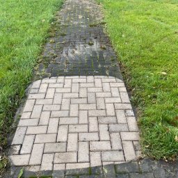 MK Błysk - Częściowo wyczyszczona ścieżka z kostki brukowej, ukazująca różnicę w wyglądzie przed i po czyszczeniu, otoczona zielonym trawnikiem.