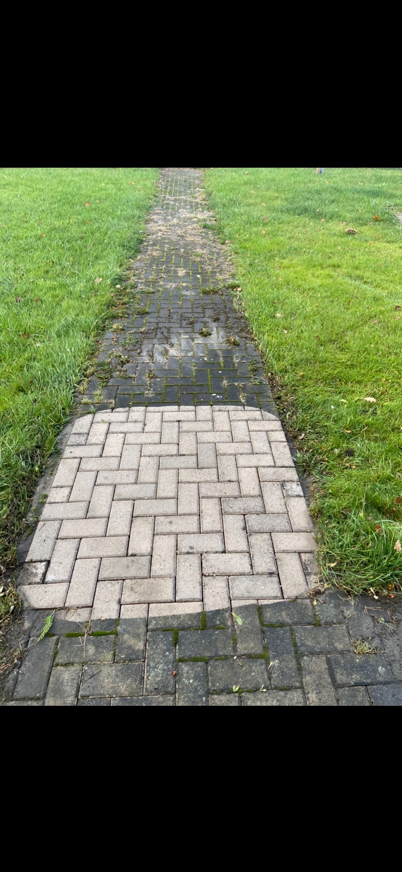Częściowo wyczyszczona ścieżka z kostki brukowej, ukazująca różnicę w wyglądzie przed i po czyszczeniu, otoczona zielonym trawnikiem.