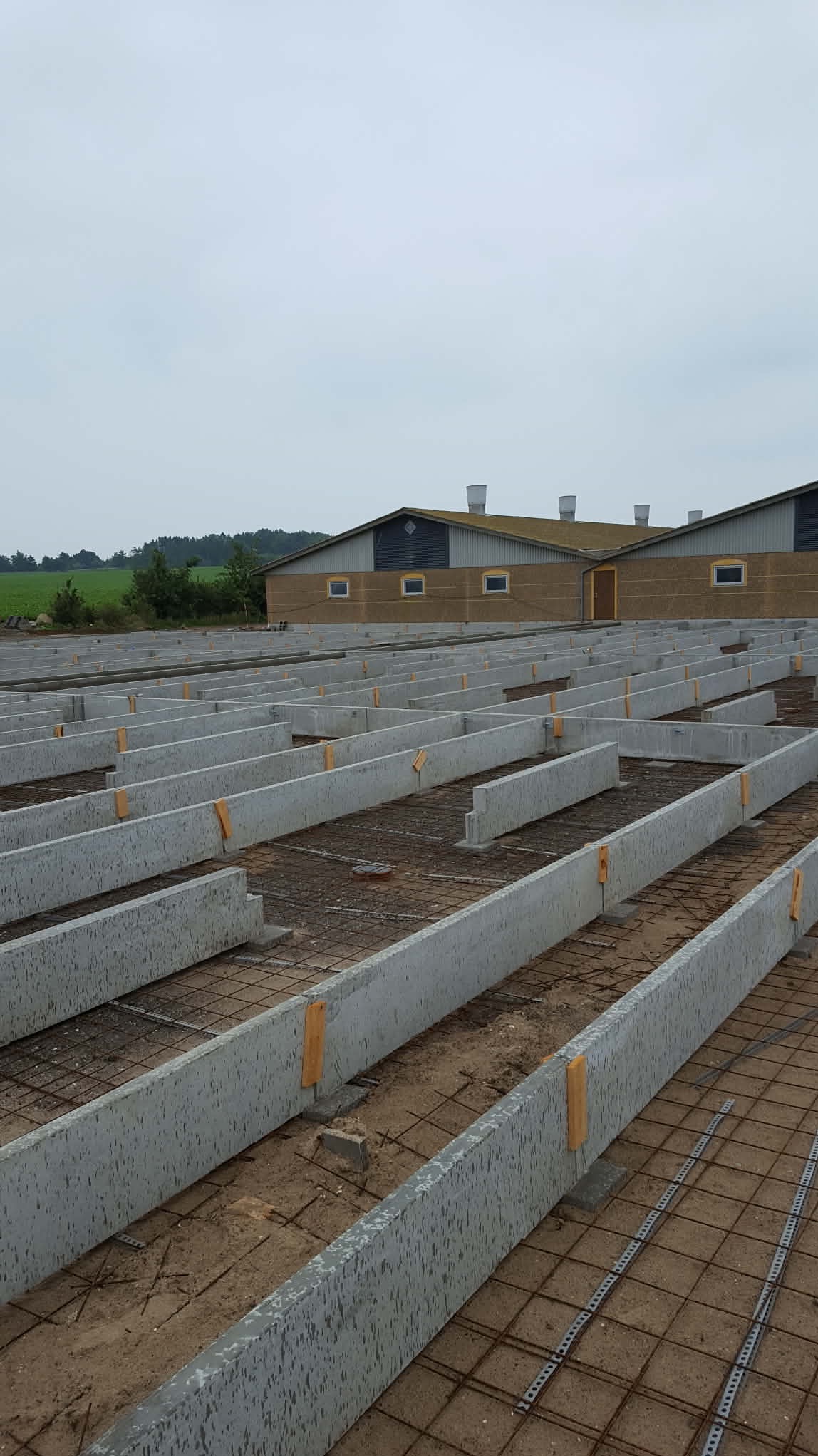 Przygotowanie podłoża pod budowę hali: szalunki z betonu i siatka zbrojeniowa na piasku, w tle budynek z kominami i zielone wzgórza pod pochmurnym niebem.