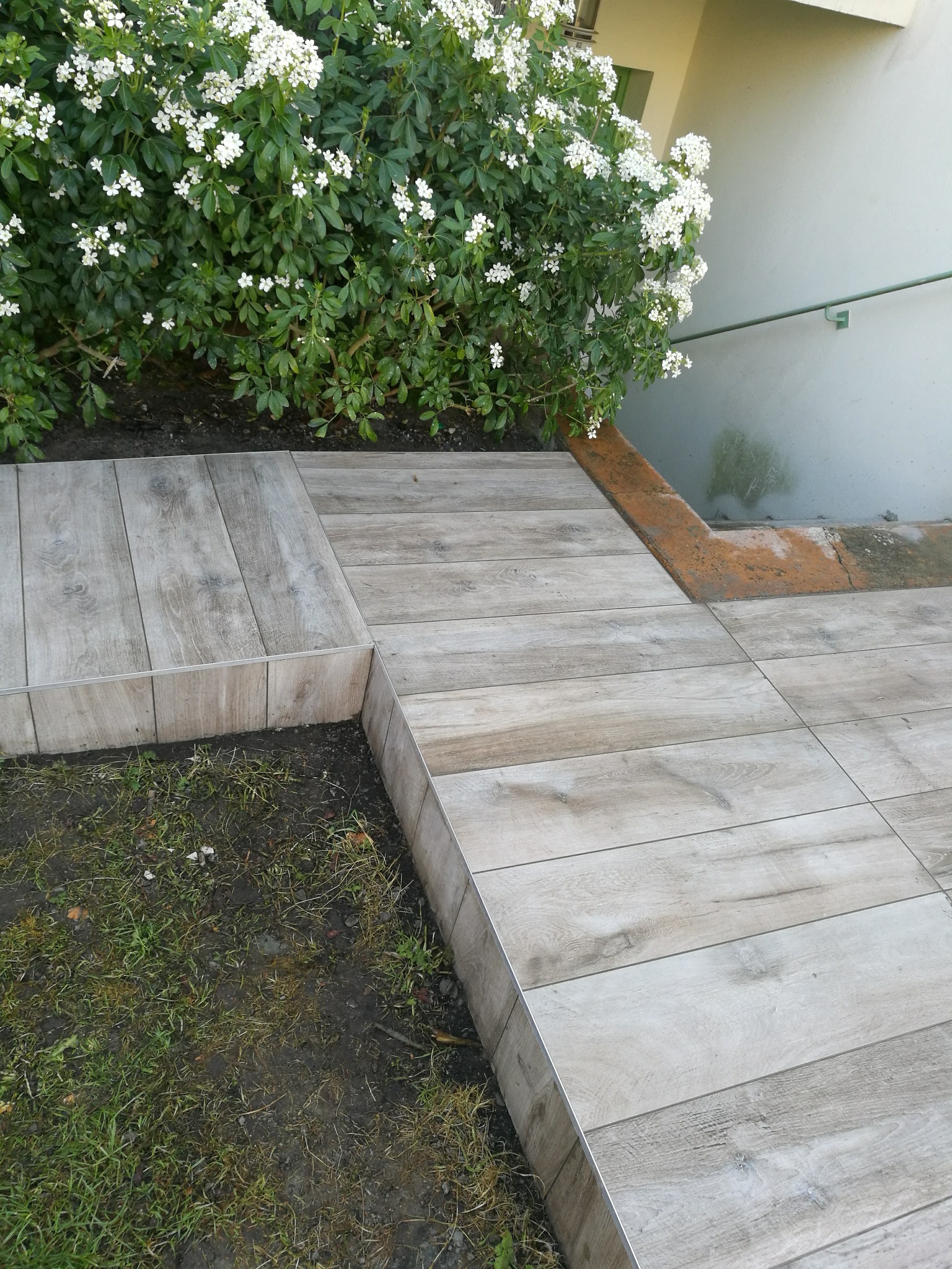 Ułożona, jasna, drewnopodobna terakota na zewnątrz, tworząca ścieżkę z obrzeżami. W tle zielony krzew z białymi kwiatami i fragment ściany budynku.
