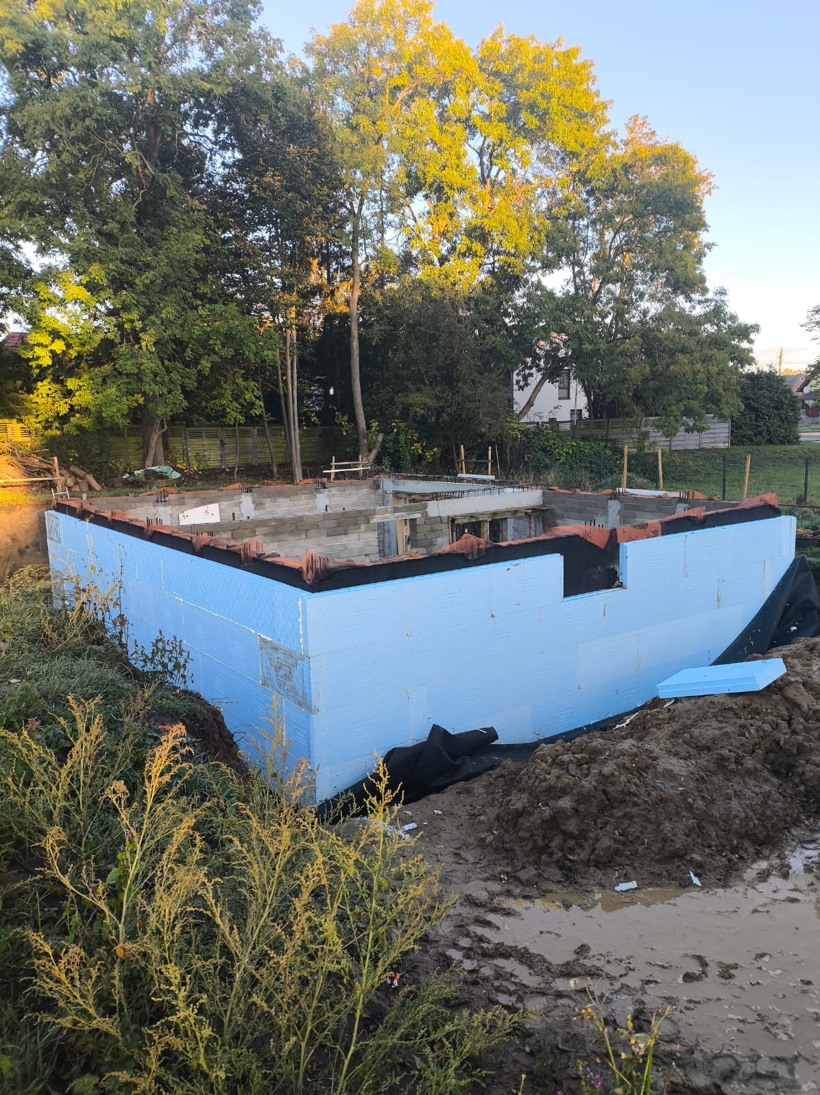 Piwnica w trakcie budowy: fundamenty z izolacją termiczną z niebieskiego styropianu, widoczne zbrojenia i bloczki betonowe. Tło: drzewa i fragment budynku.