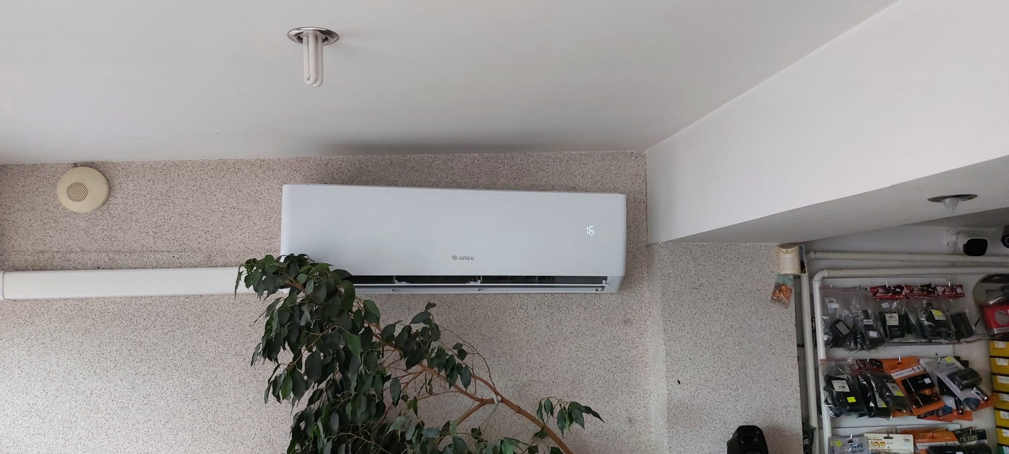 Biały klimatyzator marki Gree zamontowany na ścianie o fakturze baranka, z rośliną w lewym dolnym rogu i widocznym oświetleniem sufitowym.