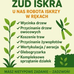 Wycinka drzew Wałcz 2