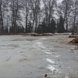 Wycinka drzew Wałcz 1