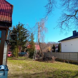 Wycinka drzew Wałcz 4