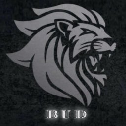 VikRemBud - Firma Składająca Meble Brwin&oacute;w