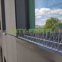 Prace wysokościowe Kraków 3