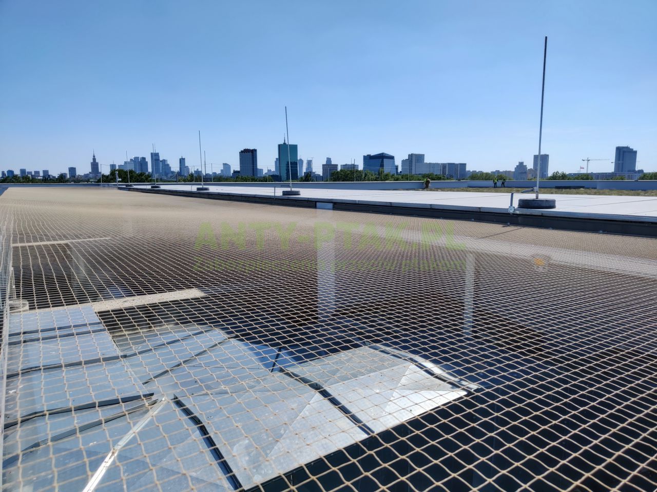 Siatka zabezpieczająca na dachu budynku z widokiem na panoramę miasta w tle, zabezpieczenie przed ptakami, ochrona przed upadkiem z wysokości.