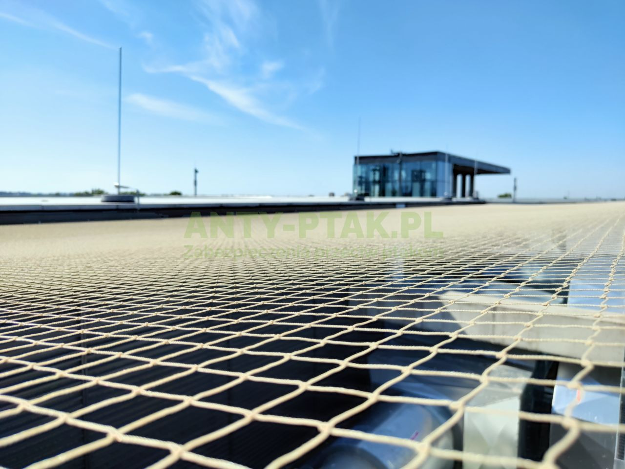 Siatka ochronna na dachu budynku z widokiem na przeszkloną konstrukcję i błękitne niebo. Zabezpieczenie przed ptakami na tle miejskiego krajobrazu.