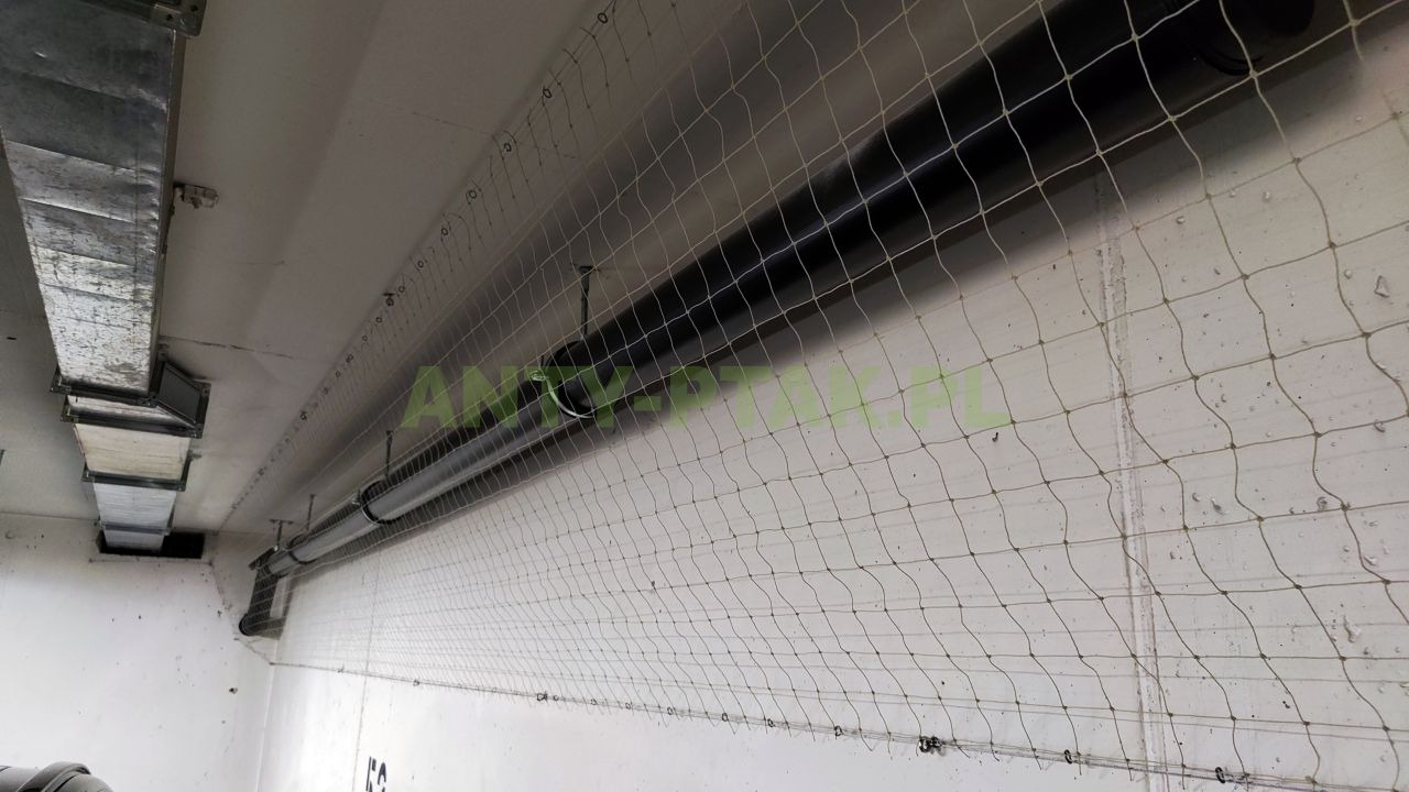 Siatka zabezpieczająca przed ptakami zamontowana pod sufitem, widoczne rury i kanał wentylacyjny. Prace wysokościowe.