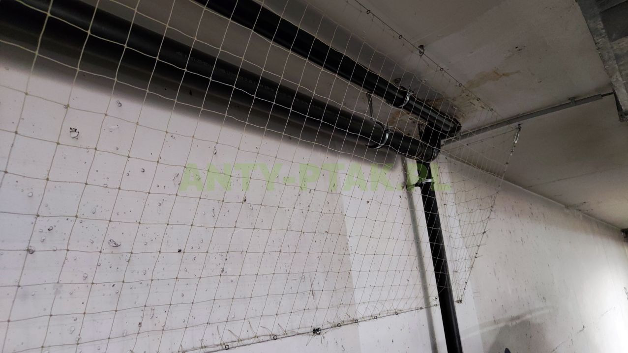 Zamontowana siatka ochronna na suficie, zabezpieczająca przed ptakami, z widocznymi rurami i elementami mocującymi. Siatka napięta, tworzy barierę ochronną.