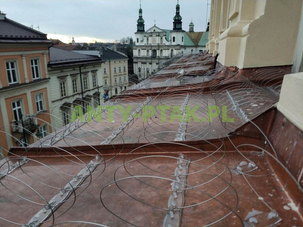 Miedziany dach z zamontowanymi zabezpieczeniami przeciw ptakom, w tle zabudowa miejska i kościół. Zabezpieczenia wykonane z drutu i przezroczystych elementów mocujących.