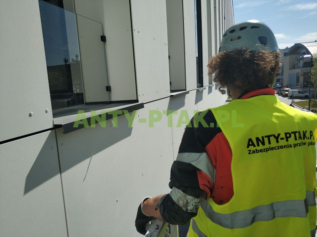 Pracownik w kasku i kamizelce odblaskowej montuje zabezpieczenia przeciw ptakom na elewacji budynku z przeszklonymi oknami. Widoczny fragment elewacji i narzędzia.