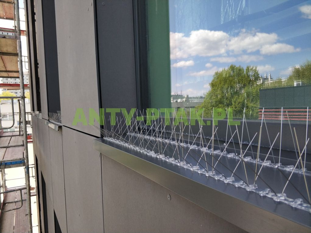 Zamontowane kolce przeciw ptakom na parapecie budynku, widoczne rusztowania z boku. Odbicie nieba i drzew w oknie. Zabezpieczenie przed ptactwem na wysokości.