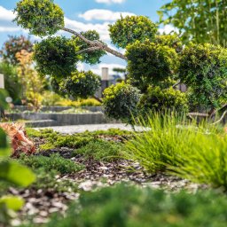 Układanie kostki brukowej Świerklaniec 2