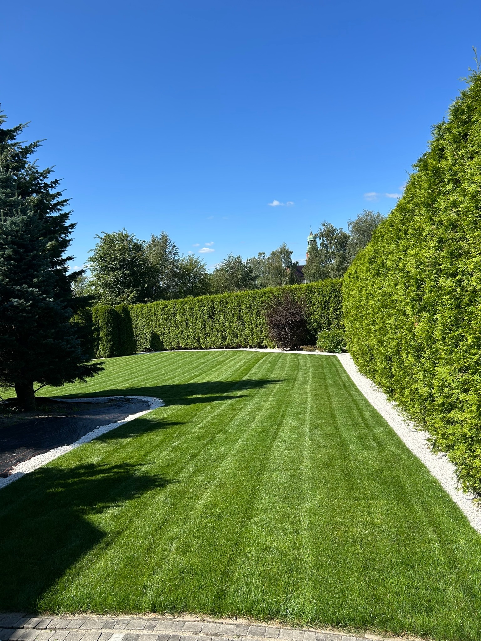Perfekcyjnie przystrzyżony trawnik z wyraźnymi pasami, obramowany białym żwirem i żywopłotem z tui, w tle drzewa i błękitne niebo. Widok z poziomu gruntu.