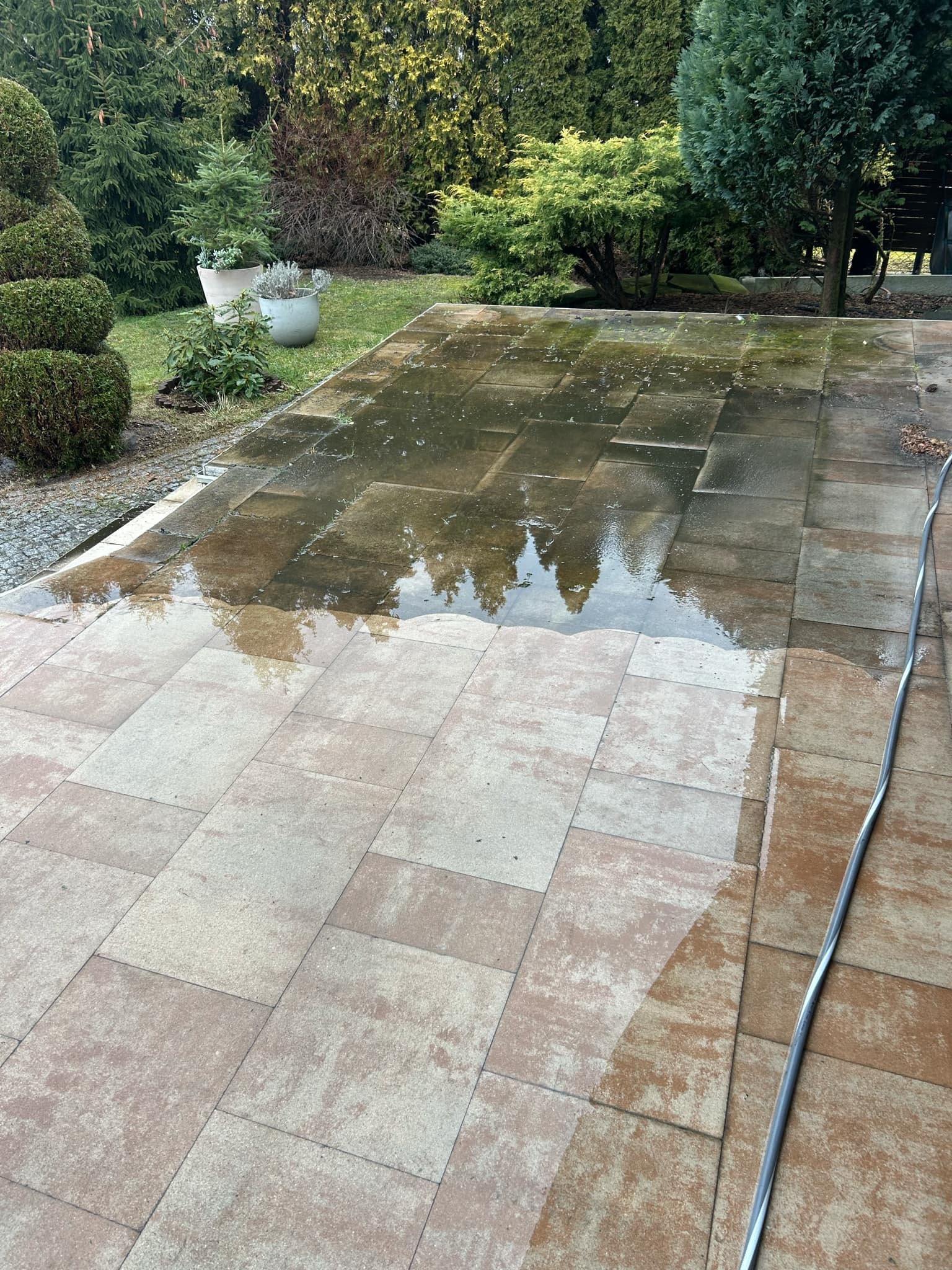 Mokry taras z kostki brukowej po czyszczeniu, z widocznym wężem ogrodowym i odbiciem drzew w wodzie. Część kostki jest już sucha, ukazując jej naturalny kolor.