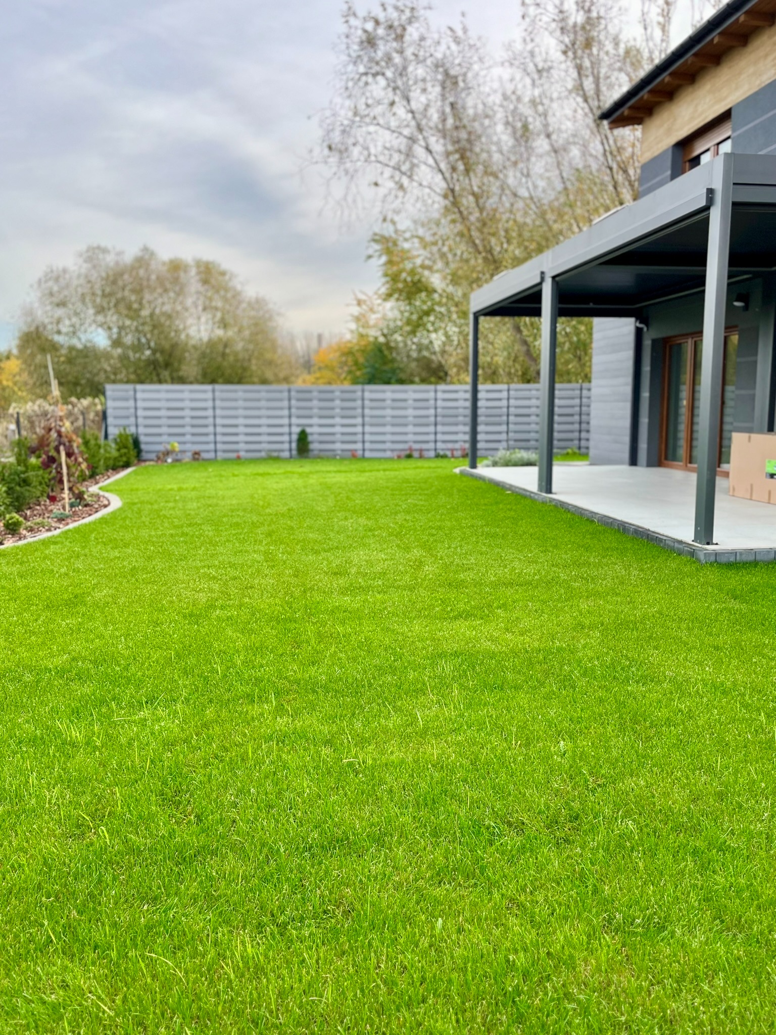Perfekcyjnie założony trawnik z rolki przy nowoczesnym domu z pergolą i szarym ogrodzeniem panelowym. Widoczne nasadzenia wzdłuż obrzeża trawnika.