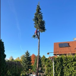 RAFAŁ CHAMIOŁO RAF-MONI - Sprzątanie Po Budowie Świerklaniec