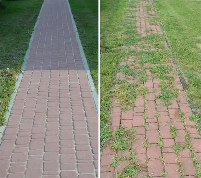 Kostka brukowa przed i po czyszczeniu: po lewej czysta, czerwona kostka, po prawej zarośnięta trawą i mchem. Widok z góry, trawa po bokach.