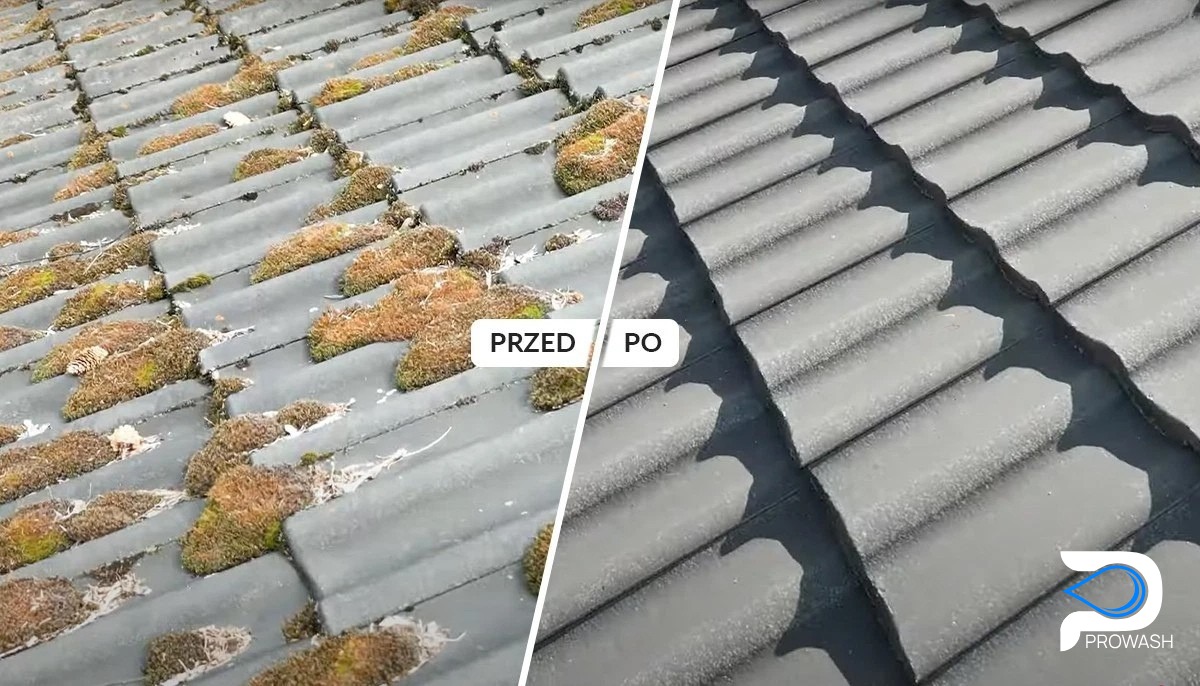 Dachówka przed i po zabiegu czyszczenia w Łodzi. Po lewej dach pokryty mchem, po prawej czysta, szara dachówka. Efekt 'przed i po' z bliska.