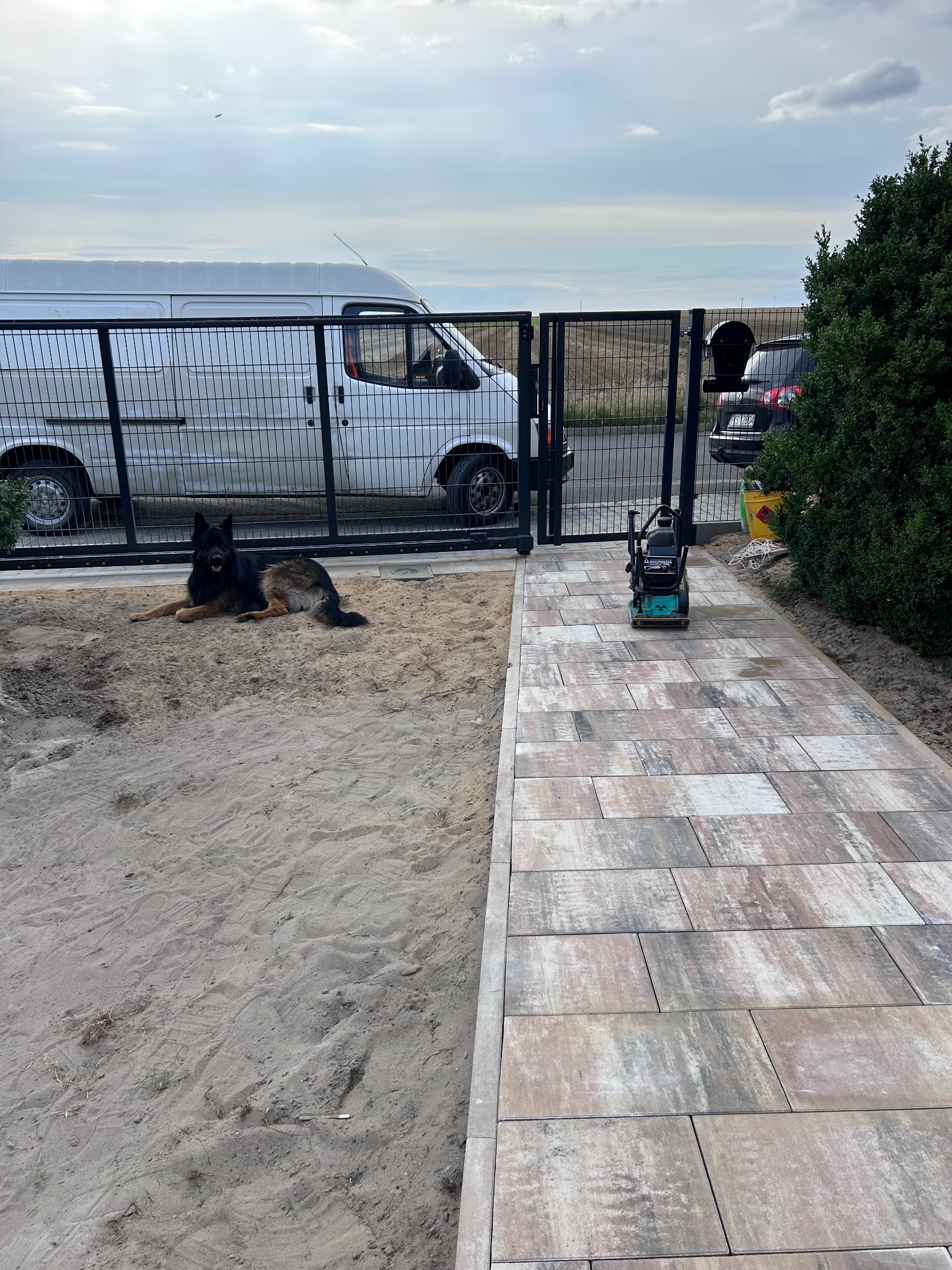 Ścieżka z kostki brukowej w trakcie realizacji w Poznaniu, z ubijarką i psem rasy owczarek niemiecki leżącym na piasku obok. W tle widoczny montaż ogrodzenia.