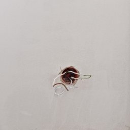 Daniel Szczepański - Otwór w ścianie z wystającymi przewodami elektrycznymi. Widoczne kable w kolorach: białym, brązowym, zielonym i niebieskim. Ściana pomalowana na jasny kolor.