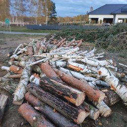 Wycinka drzew Starcza 2