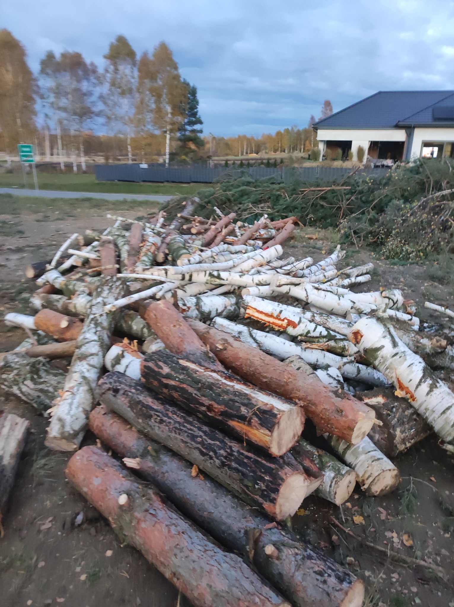 Stos pociętych pni drzew (głównie brzozy i sosny) po wycince, ułożonych na ziemi przed domem jednorodzinnym. W tle widoczne drzewa i pochmurne niebo.
