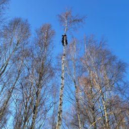 Aleksandra Szulc - Firma Ogrodnicza Unisław