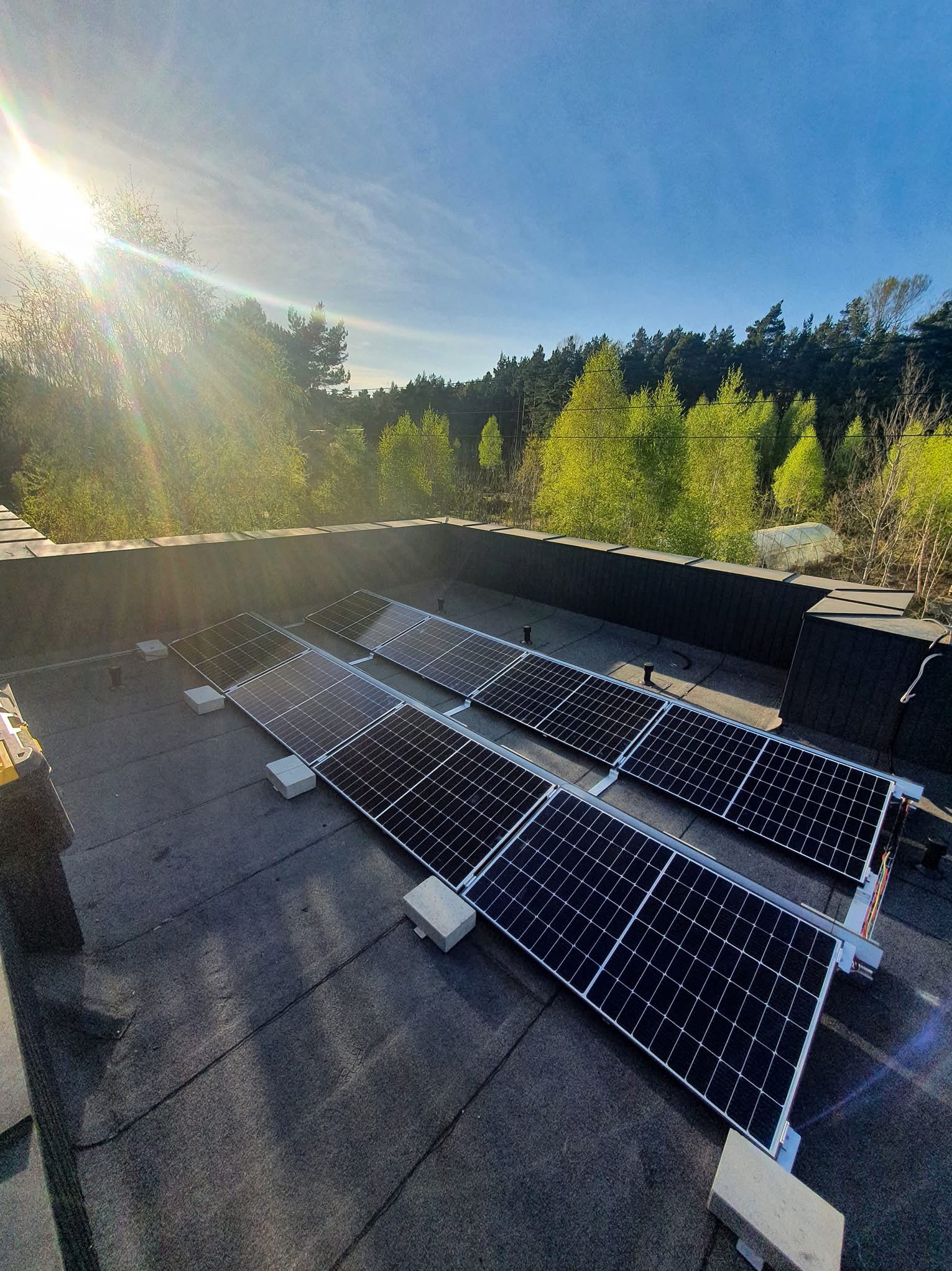 Panele słoneczne na dachu budynku w słoneczny dzień. Widoczne drzewa w tle. Częściowo widoczny żółty pojemnik narzędziowy po lewej stronie kadru.