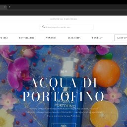 Tworzenie stron internetowych Szczecin 4