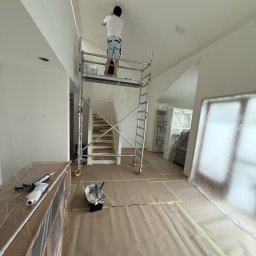 F.H.U AGNIESZKA STANIKOWSKA - Szpachlowanie Pińcz&oacute;w