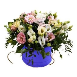 Rośliny i podłoża Łódź 1