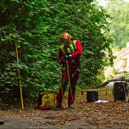 Przycinanie drzew Bielsko-Biała 1