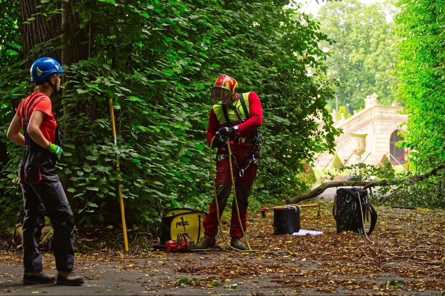 Arborysta w kasku i uprzęży, przygotowuje się do pracy na drzewie w parku. Obok stoi pomocnik. W tle widoczna architektura parkowa.