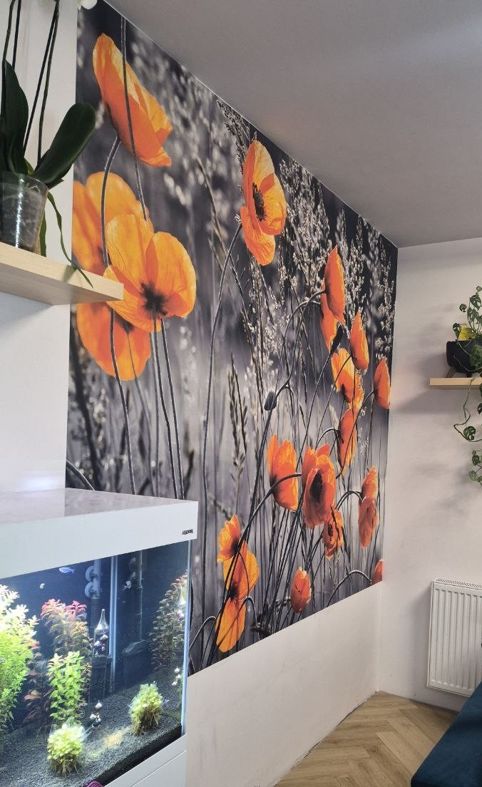 Fototapeta z motywem pomarańczowych maków na szaro-białym tle, zdobiąca ścianę w jasnym wnętrzu. Widoczny fragment akwarium i półki z roślinami.
