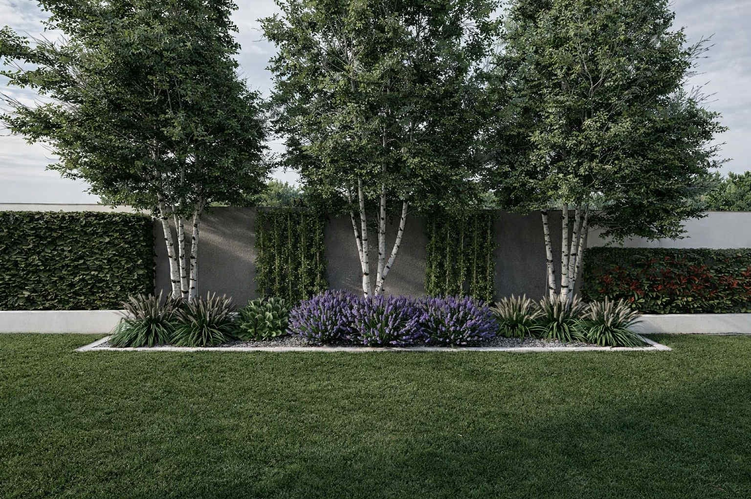 Nowoczesny ogród z białymi brzozami, fioletowymi kwiatami i zielonym trawnikiem na pierwszym planie. Minimalistyczny design z dbałością o detale.