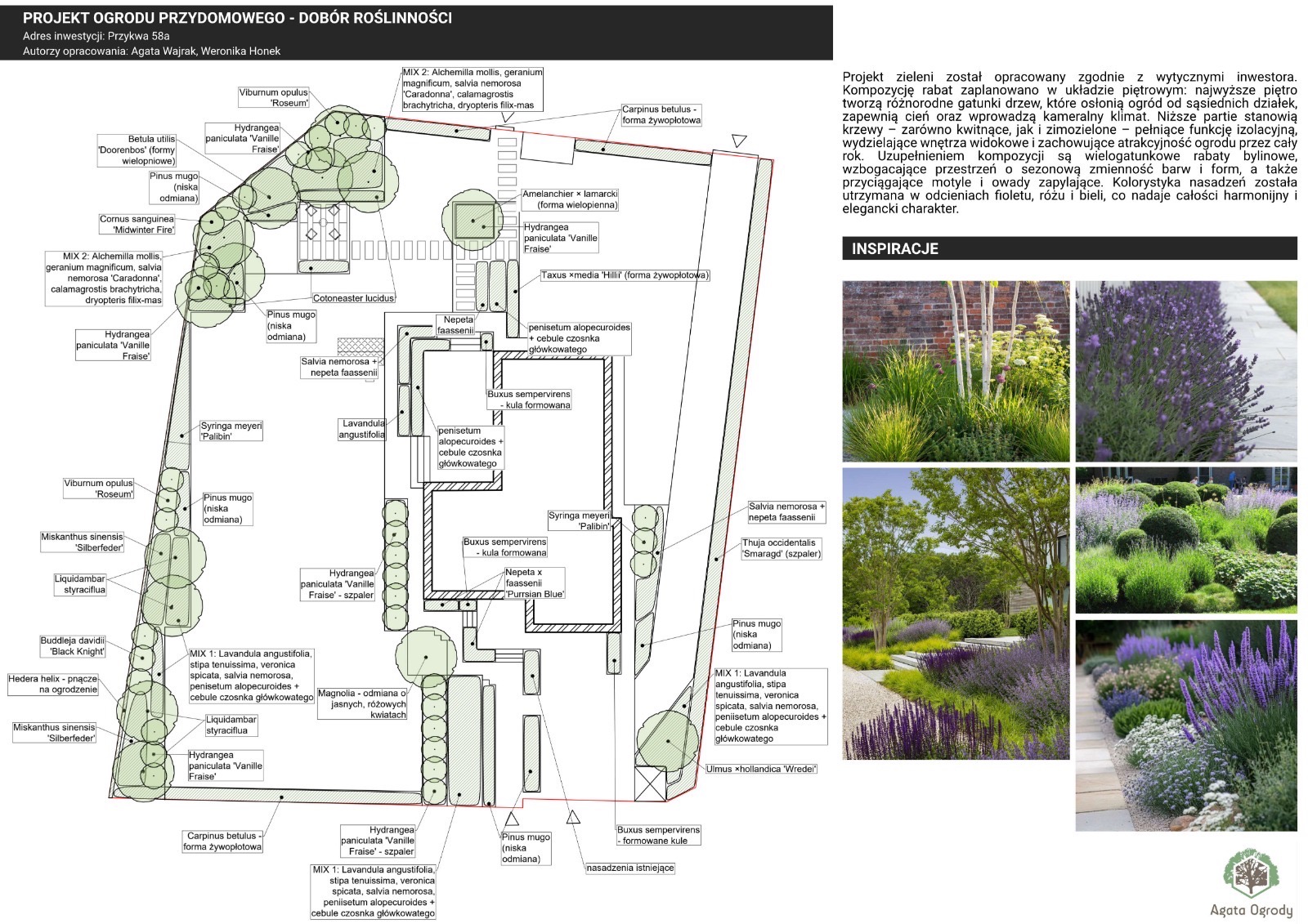 Plan ogrodu przydomowego z doborem roślinności, uwzględniający kompozycję rabat, gatunki drzew, krzewy i byliny. Kolorystyka nasadzeń w odcieniach fioletu, różu i bieli.