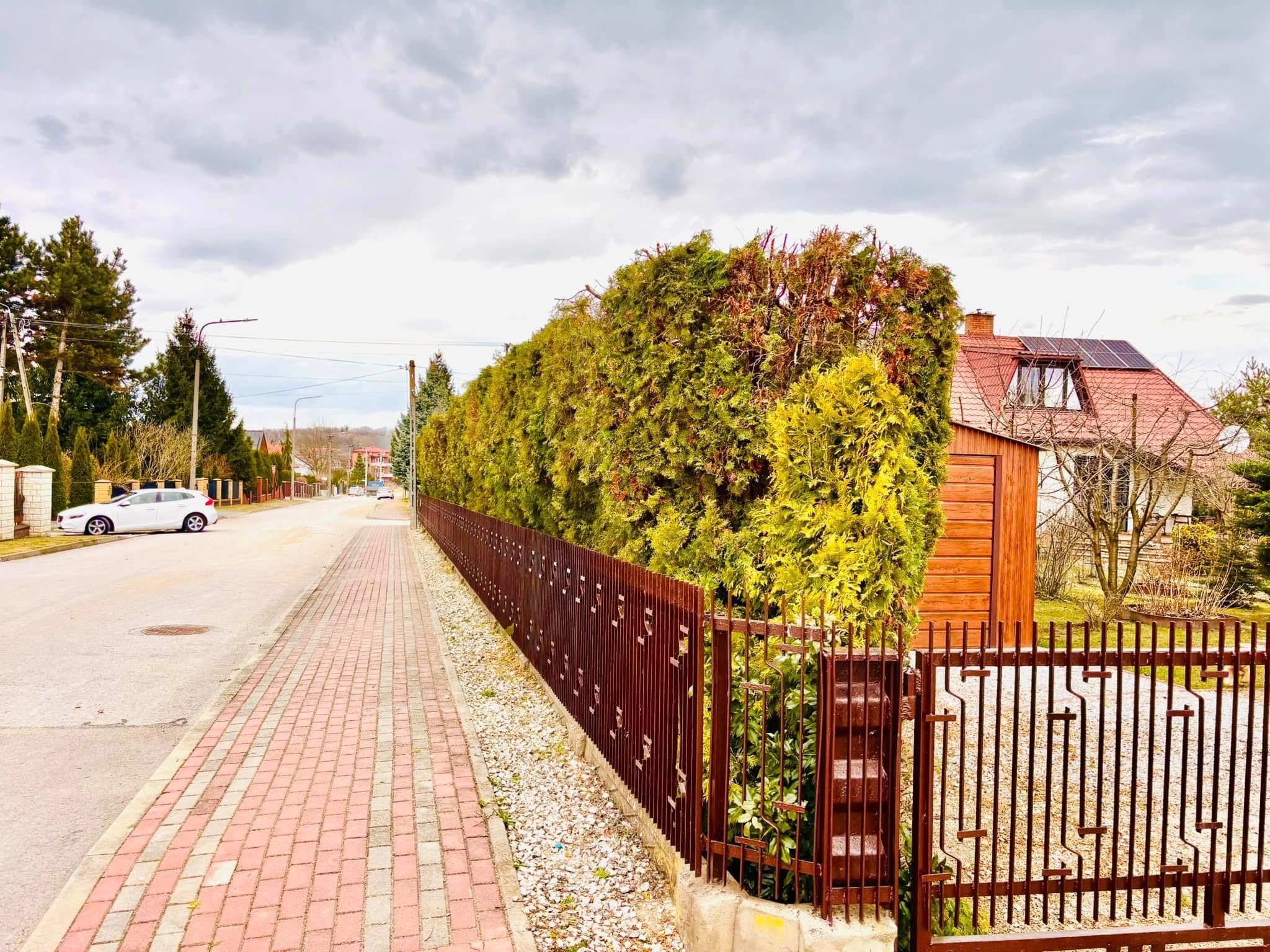 Długi, równo przycięty żywopłot z tui, oddzielający posesję od ulicy z chodnikiem z czerwonej kostki. Brązowe metalowe ogrodzenie. Pochmurne niebo.