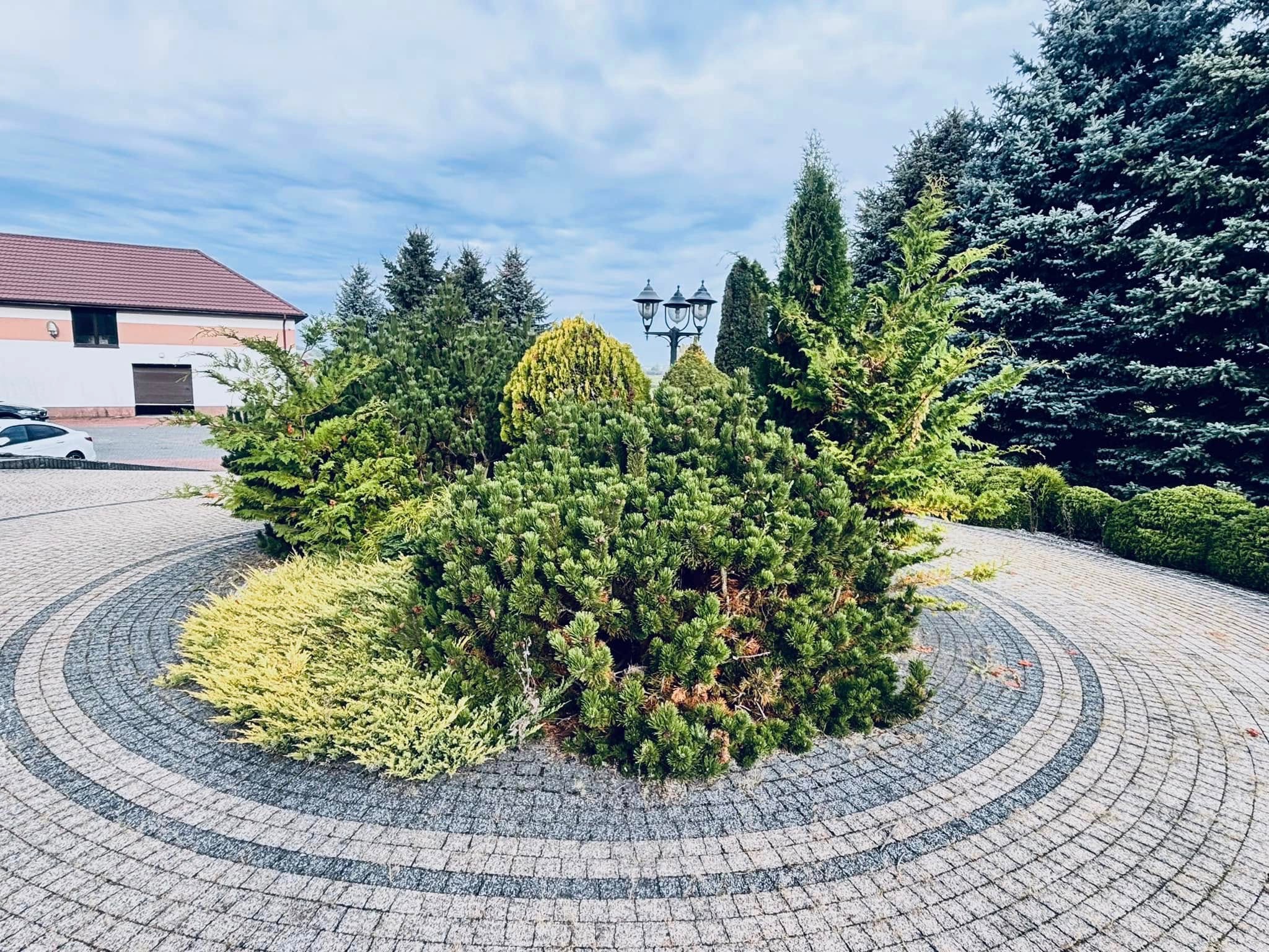 Okrągły klomb z różnorodnymi iglakami i krzewami na tle domu i nieba. Dekoracyjny bruk ułożony w koncentryczne okręgi. Oświetlenie parkowe w tle.