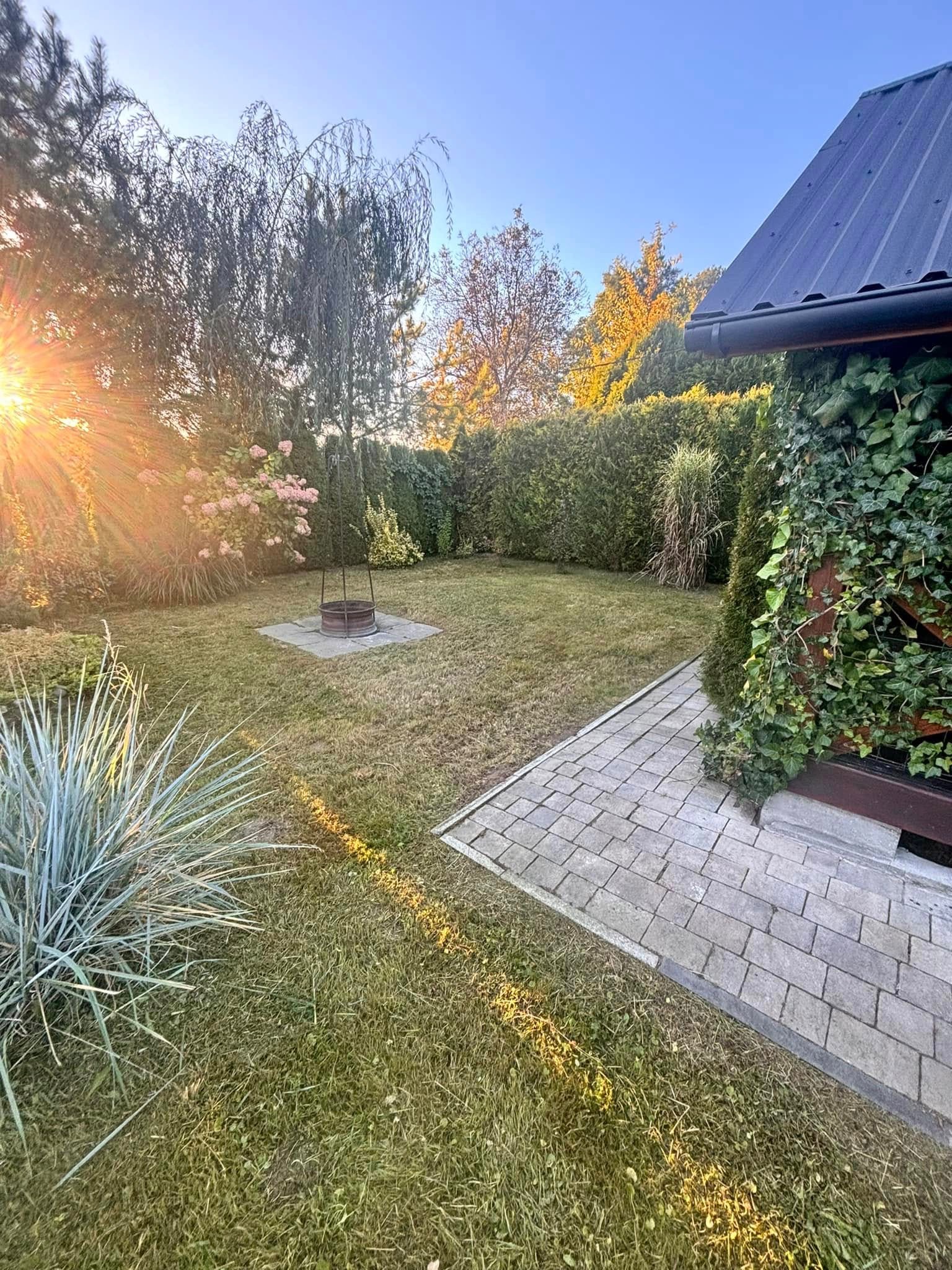 Zadbany ogród z równo przystrzyżonym trawnikiem, ozdobnymi krzewami i drzewami w promieniach zachodzącego słońca. Widoczny fragment ścieżki z kostki brukowej i budynek z bluszczem.