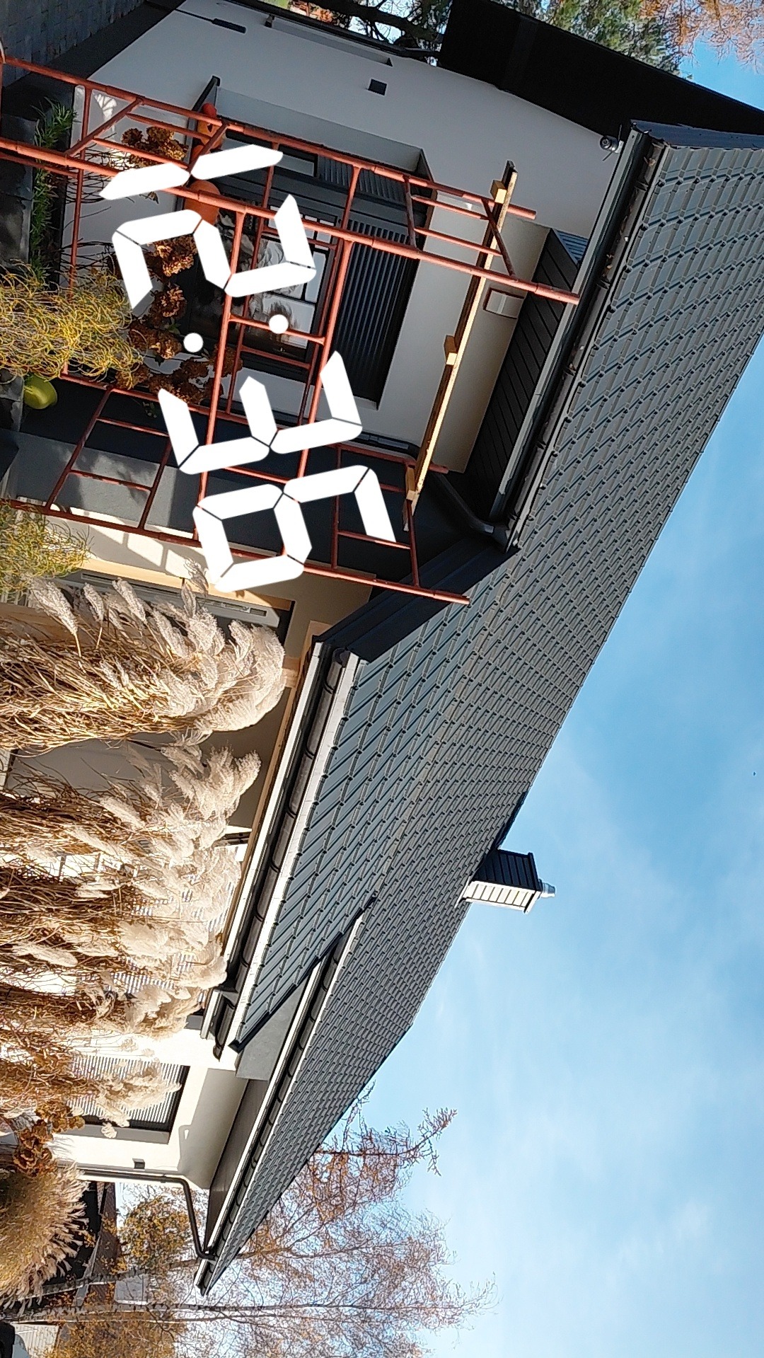 Nowoczesny dom z ciemną dachówką widziany z dołu, z fragmentem elewacji w rusztowaniach. Błękitne niebo w tle, zieleń i trawy ozdobne w kadrze. Nietypowy kąt ujęcia.